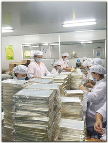 廣州化妝品廠裝修公司 廣州化妝品廠凈化裝修公司 供應廣州化妝品廠裝修公司 廣州化妝品廠凈化裝修公司